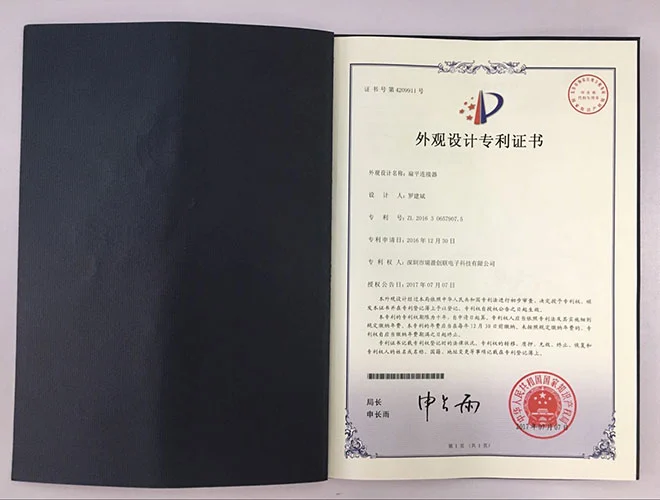 专利19